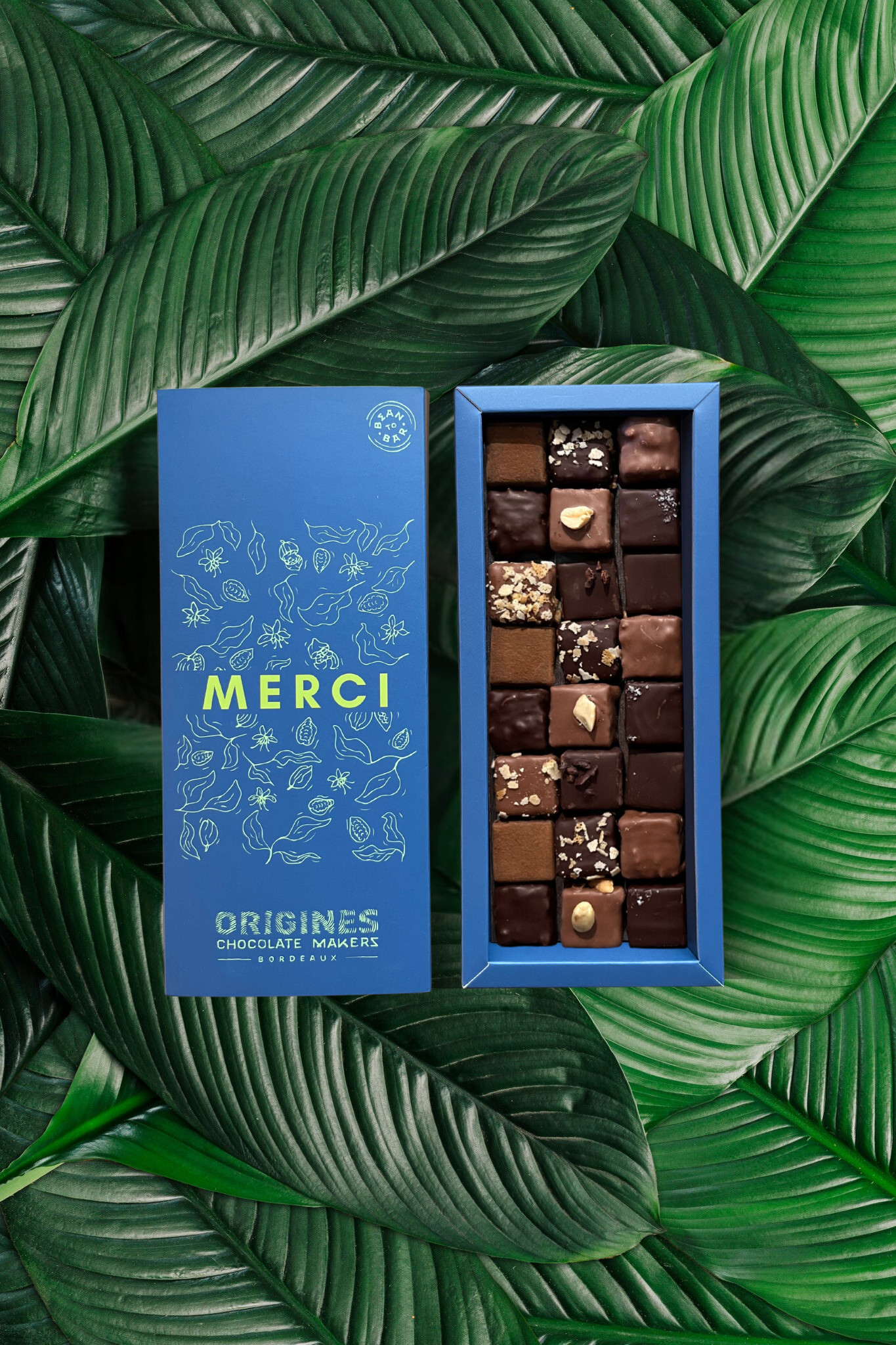 Boîte bleue élégante de chocolats "MERCI" d'Origines Chocolate Makers (Bordeaux), avec des motifs naturels et l'inscription "Bean to Bar". L'intérieur révèle un assortiment raffiné de chocolats variés, posée sur un fond de feuilles tropicales.