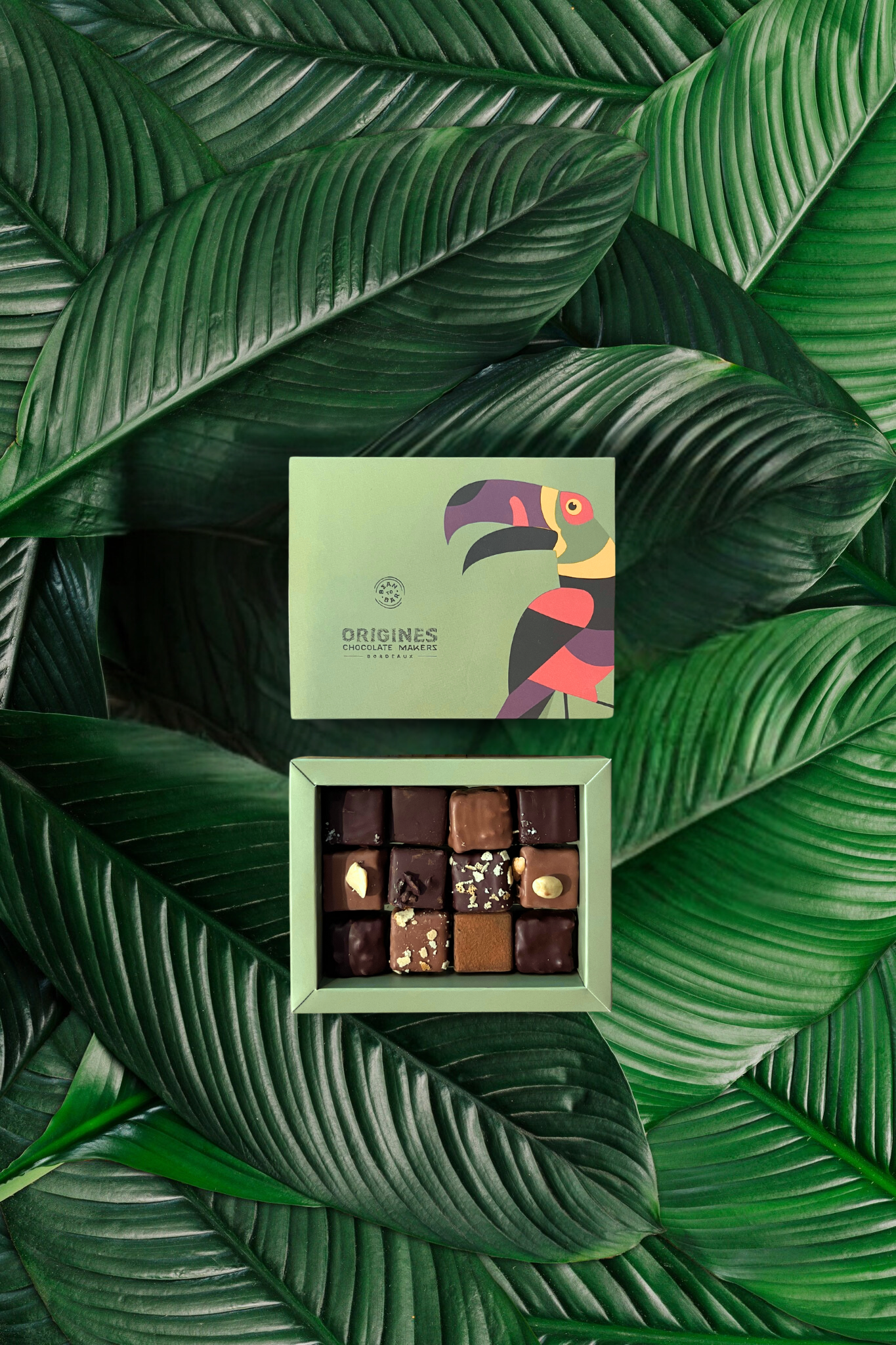 Une boîte de chocolats fins est posée sur de grandes feuilles vertes. Le couvercle de la boîte montre un toucan coloré, et à côté, la boîte ouverte révèle une grille de 12 chocolats variés.