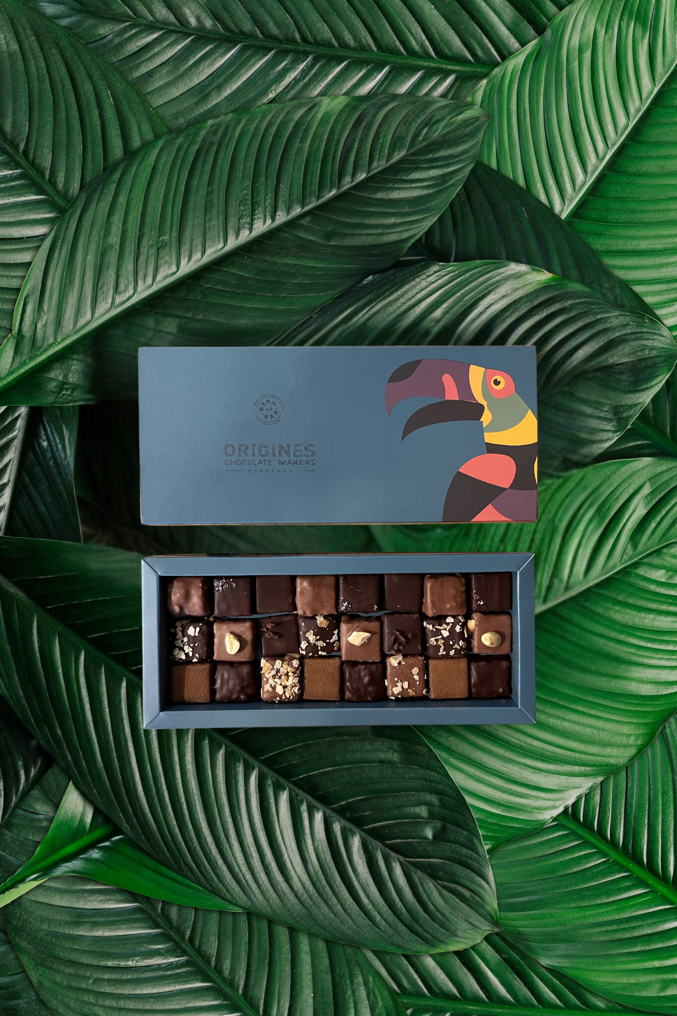 Une boîte de chocolats fins est posée sur de grandes feuilles vertes. Le couvercle de la boîte montre un toucan coloré, et à côté, la boîte ouverte révèle une grille de 24 chocolats variés.