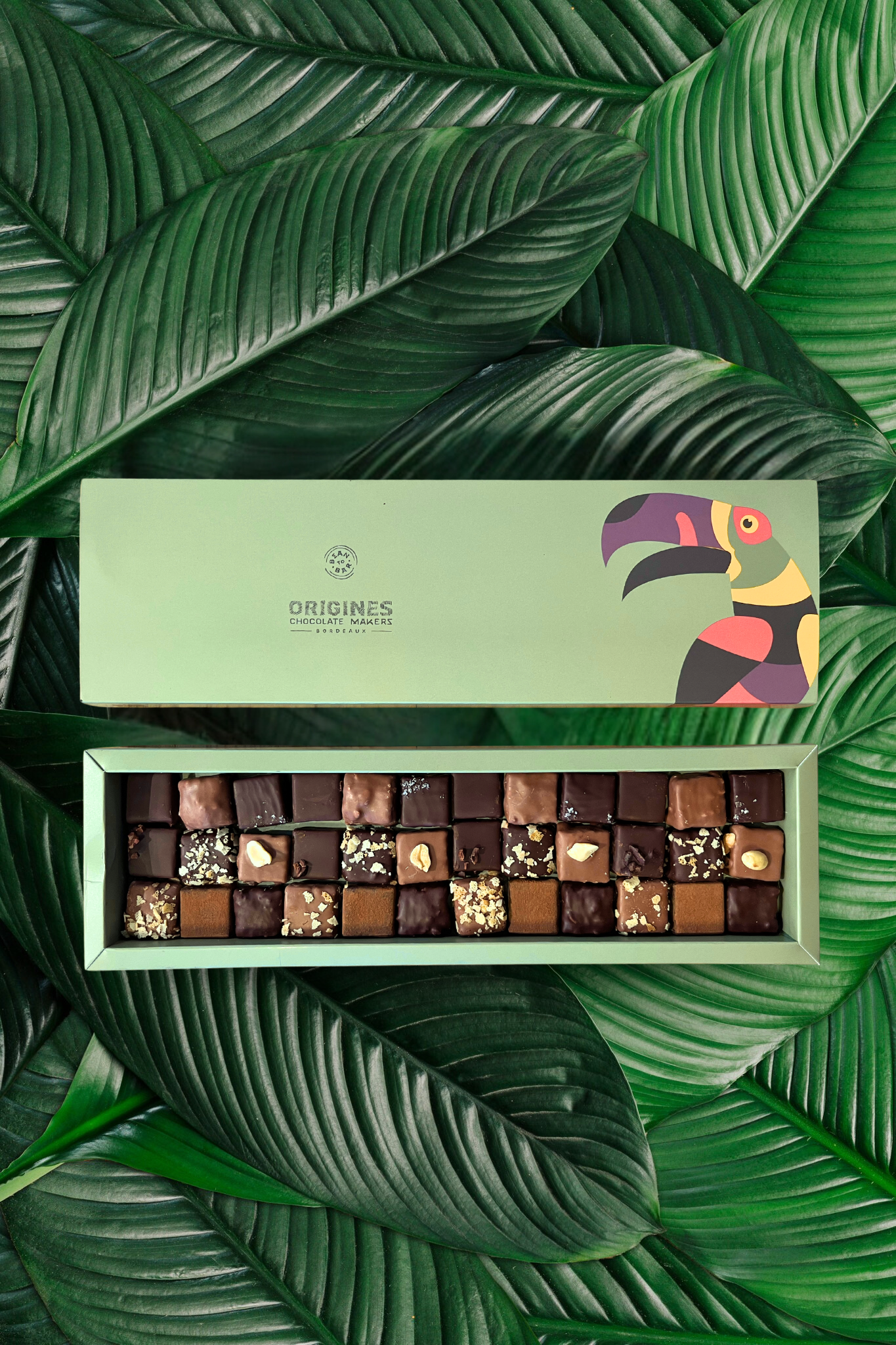 Une boîte de chocolats fins est posée sur de grandes feuilles vertes. Le couvercle de la boîte montre un toucan coloré, et à côté, la boîte ouverte révèle une grille de 36 chocolats variés.