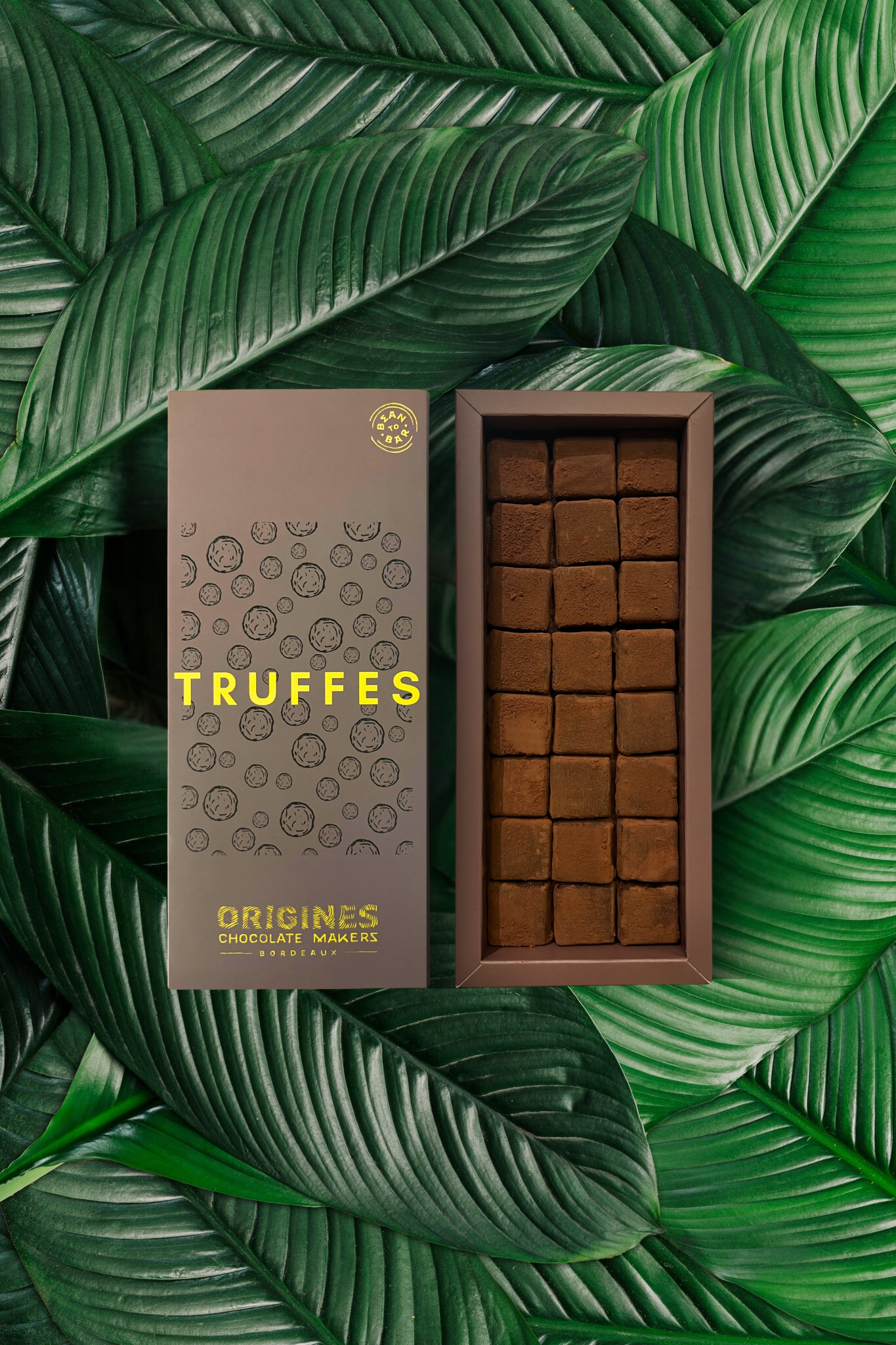 Une boîte de chocolats fins est posée sur de grandes feuilles vertes. Le couvercle de la boîte est marron avec marqué Truffe en jaune, et à côté, la boîte ouverte révèle une grille de 24 truffes au chocolats.