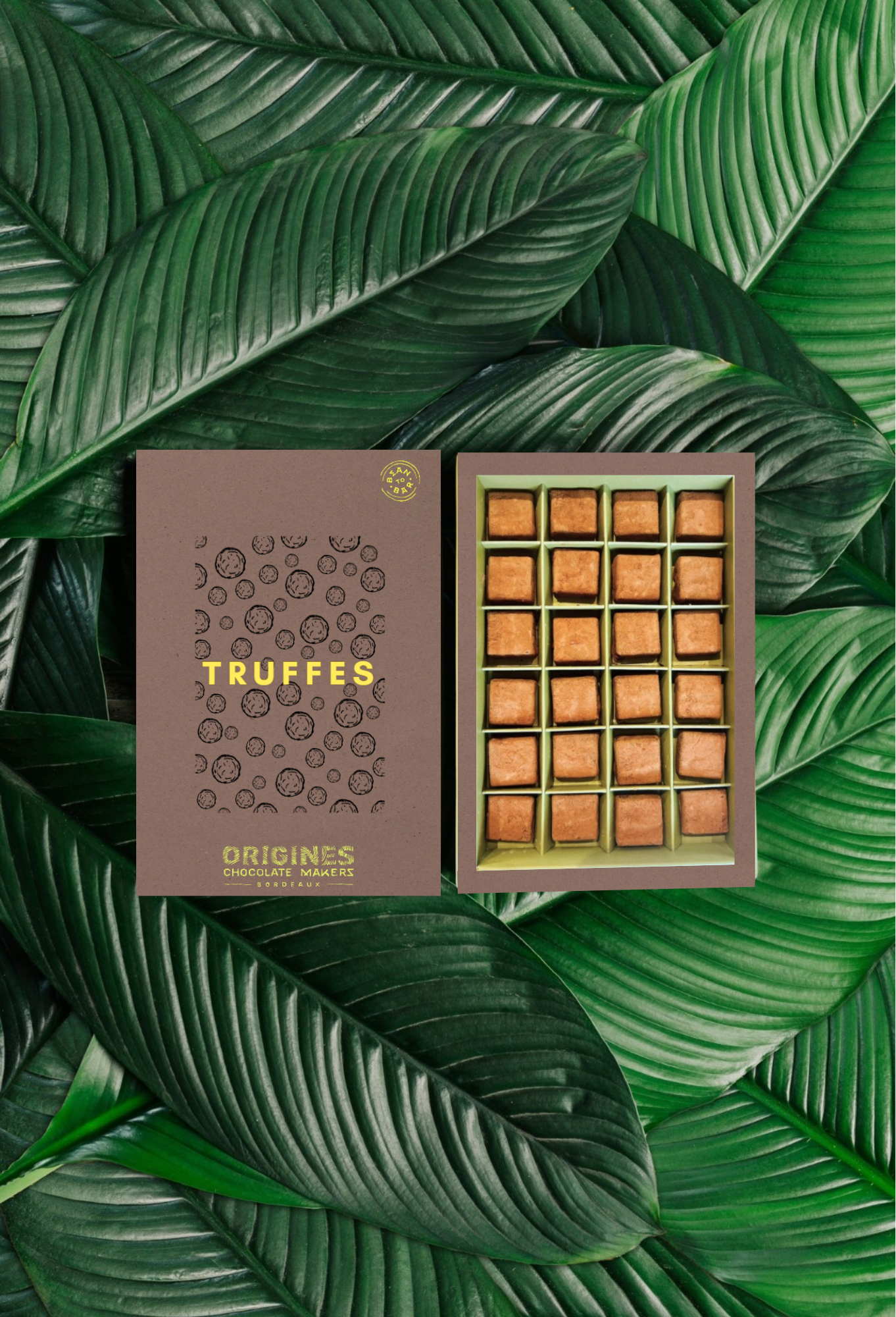 Truffe en chocolat
