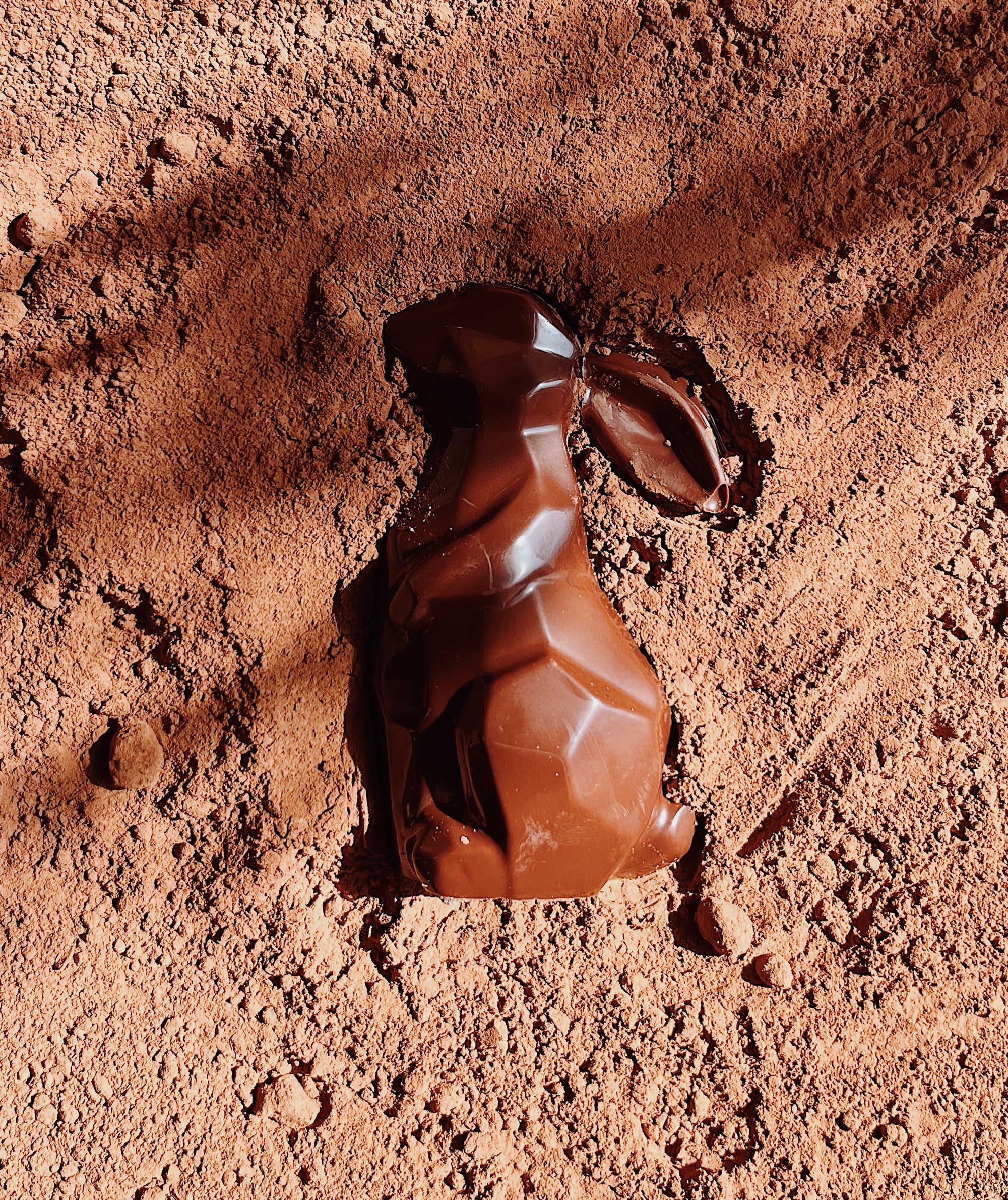 Lapin de Pâques en chocolat bio posé sur une fine couche de cacao en poudre. Son design facetté lui confère une allure moderne et élégante, sublimée par un jeu d’ombres et de lumières. Chocolat artisanal et gourmand, idéal pour célébrer Pâques