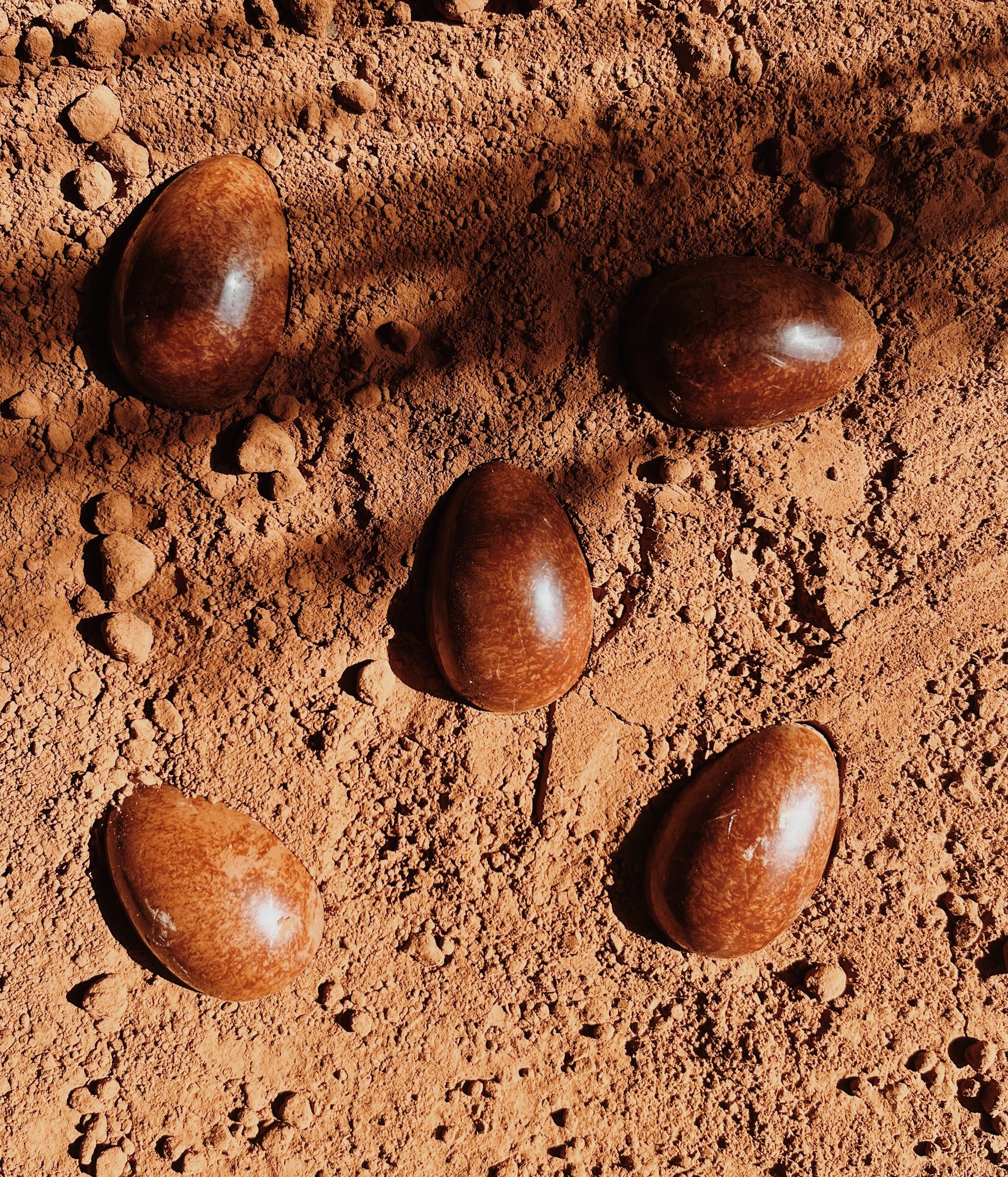 "Œufs de Pâques en chocolat bio disposés sur une surface recouverte de cacao en poudre. Leur texture lisse et brillante contraste avec l’aspect brut du cacao, créant une mise en scène naturelle et gourmande. Chocolat artisanal, idéal pour les fêtes de Pâques.