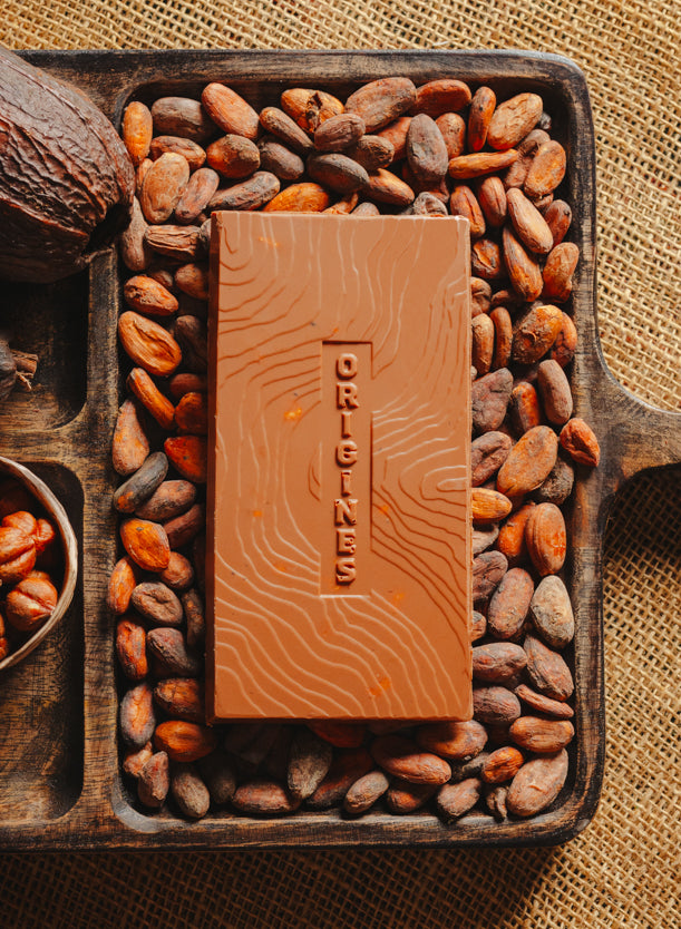 Tablette de chocolat au lait au noisettes de lot et garonne Origines Chocolate Makers,38 % de cacao de São Tomé entourée de fèves de cacao, de cabosses et d'un bol contenant des noisettes sur un fond en toile de jute.