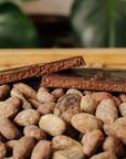Tablette de chocolat fourré à la pistache sur un fond de fèves de cacao.