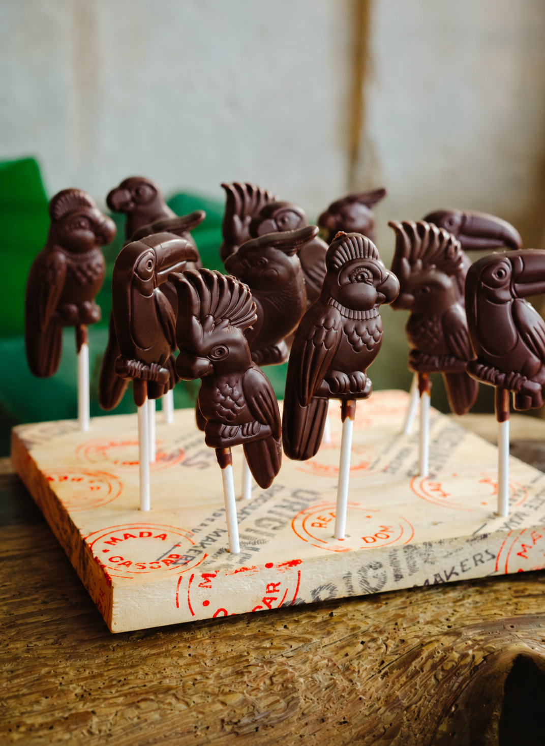 Sucette chocolat noir bio perroquet