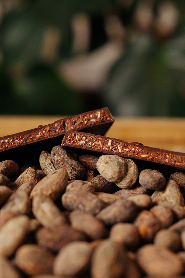 Tablette coupée en deux avec intérieur praliné noix de coco sur un fond de fèves de cacao.