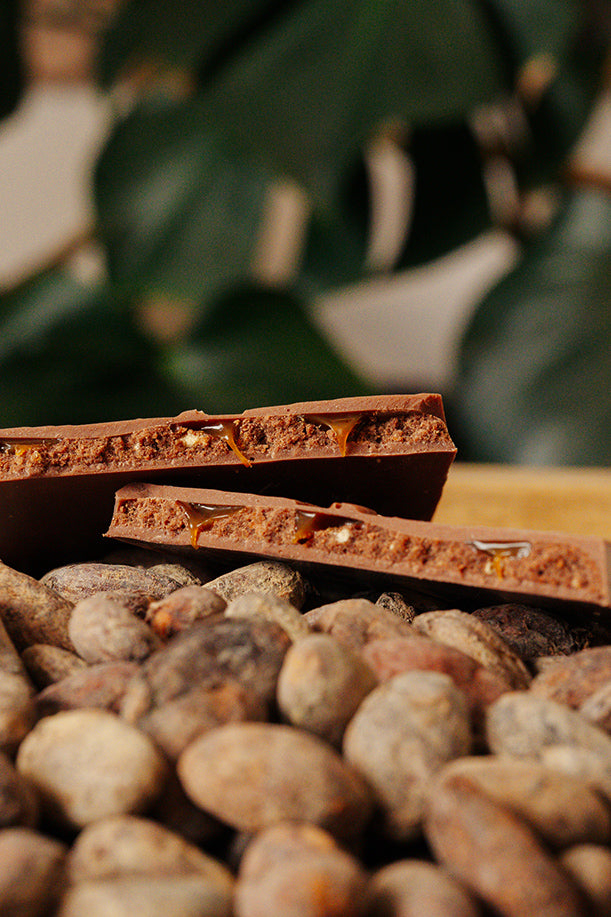 Tablette de chocolat fourrée aux cacahuètes sur un fond de fèves de cacao. 